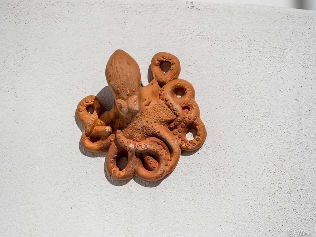 Cornabrugia Patio Apartment Vernazza Exterior photo